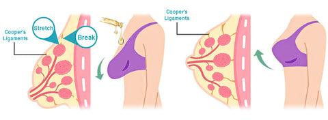 Beauty Adore Breast Enhance Massage Oil